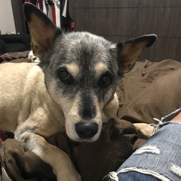 Meet The Posher! - Picture 2 of 2